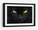 Ojos de gato misteriosos - Ferdinando Valverde | Cuadro decorativo de Canvas Lab