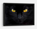 Ojos de gato misteriosos - Ferdinando Valverde | Cuadro decorativo de Canvas Lab
