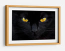 Ojos de gato misteriosos - Ferdinando Valverde | Cuadro decorativo de Canvas Lab