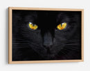 Ojos de gato misteriosos - Ferdinando Valverde | Cuadro decorativo de Canvas Lab