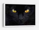 Ojos de gato misteriosos - Ferdinando Valverde | Cuadro decorativo de Canvas Lab