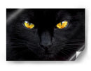 Ojos de gato misteriosos - Ferdinando Valverde | Cuadro decorativo de Canvas Lab