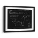 Blueprint Golden Retriever - Ethan Harper | Cuadro decorativo de Canvas Lab
