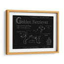 Blueprint Golden Retriever - Ethan Harper | Cuadro decorativo de Canvas Lab