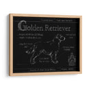 Blueprint Golden Retriever - Ethan Harper | Cuadro decorativo de Canvas Lab