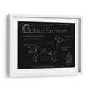 Blueprint Golden Retriever - Ethan Harper | Cuadro decorativo de Canvas Lab