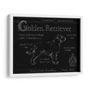 Blueprint Golden Retriever - Ethan Harper | Cuadro decorativo de Canvas Lab