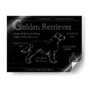 Blueprint Golden Retriever - Ethan Harper | Cuadro decorativo de Canvas Lab