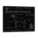 Blueprint Labrador Retriever - Ethan Harper | Cuadro decorativo de Canvas Lab