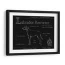 Blueprint Labrador Retriever - Ethan Harper | Cuadro decorativo de Canvas Lab