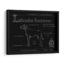 Blueprint Labrador Retriever - Ethan Harper | Cuadro decorativo de Canvas Lab