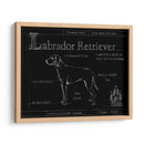 Blueprint Labrador Retriever - Ethan Harper | Cuadro decorativo de Canvas Lab