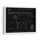 Blueprint Labrador Retriever - Ethan Harper | Cuadro decorativo de Canvas Lab