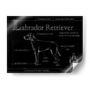 Blueprint Labrador Retriever - Ethan Harper | Cuadro decorativo de Canvas Lab