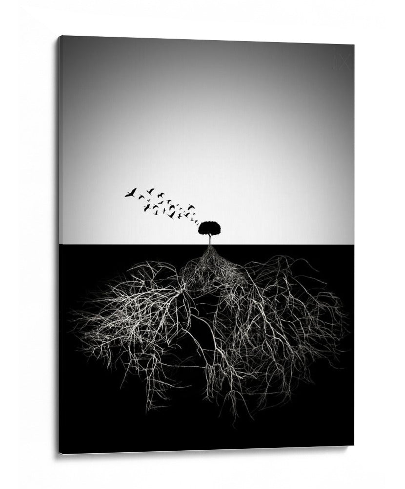 Raíces de árboles y vuelo - Souren Arslanian | Cuadro decorativo de Canvas Lab