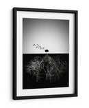 Raíces de árboles y vuelo - Souren Arslanian | Cuadro decorativo de Canvas Lab