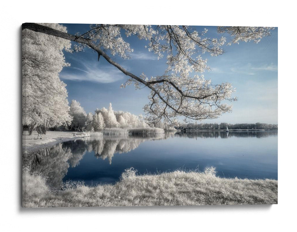 Reflejo etéreo del lago invernal - Piotr Krol (Bax) | Cuadro decorativo de Canvas Lab
