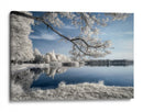 Reflejo etéreo del lago invernal - Piotr Krol (Bax) | Cuadro decorativo de Canvas Lab