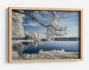 Reflejo etéreo del lago invernal - Piotr Krol (Bax) | Cuadro decorativo de Canvas Lab