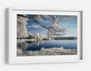 Reflejo etéreo del lago invernal - Piotr Krol (Bax) | Cuadro decorativo de Canvas Lab