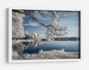 Reflejo etéreo del lago invernal - Piotr Krol (Bax) | Cuadro decorativo de Canvas Lab