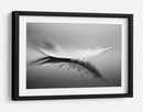 Reflejo de pluma blanca - Olinda Coutinho | Cuadro decorativo de Canvas Lab