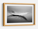 Reflejo de pluma blanca - Olinda Coutinho | Cuadro decorativo de Canvas Lab