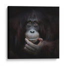 Retrato reflexivo de un orangután - Antje Wenner-Braun | Cuadro decorativo de Canvas Lab