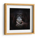 Retrato reflexivo de un orangután - Antje Wenner-Braun | Cuadro decorativo de Canvas Lab