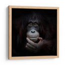 Retrato reflexivo de un orangután - Antje Wenner-Braun | Cuadro decorativo de Canvas Lab