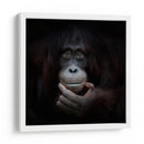 Retrato reflexivo de un orangután - Antje Wenner-Braun | Cuadro decorativo de Canvas Lab