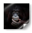 Retrato reflexivo de un orangután - Antje Wenner-Braun | Cuadro decorativo de Canvas Lab