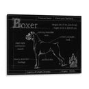Blueprint Boxer - Ethan Harper | Cuadro decorativo de Canvas Lab