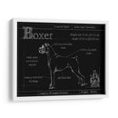 Blueprint Boxer - Ethan Harper | Cuadro decorativo de Canvas Lab