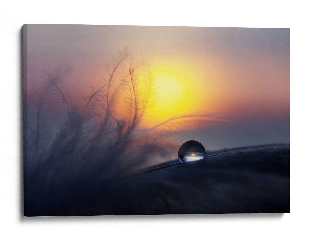 Resplandor de atardecer con gotas de agua - Peep Loorits | Cuadro decorativo de Canvas Lab