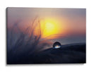 Resplandor de atardecer con gotas de agua - Peep Loorits | Cuadro decorativo de Canvas Lab