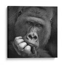 Retrato de un gorila pensativo - Antje Wenner-Braun | Cuadro decorativo de Canvas Lab