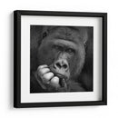 Retrato de un gorila pensativo - Antje Wenner-Braun | Cuadro decorativo de Canvas Lab