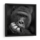 Retrato de un gorila pensativo - Antje Wenner-Braun | Cuadro decorativo de Canvas Lab