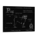 Blueprint Pug - Ethan Harper | Cuadro decorativo de Canvas Lab