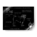 Blueprint Pug - Ethan Harper | Cuadro decorativo de Canvas Lab
