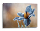 Tu beso de oro sobre mi quietud de seda azul - Mandy Disher | Cuadro decorativo de Canvas Lab
