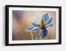 Tu beso de oro sobre mi quietud de seda azul - Mandy Disher | Cuadro decorativo de Canvas Lab