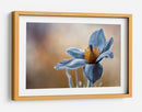 Tu beso de oro sobre mi quietud de seda azul - Mandy Disher | Cuadro decorativo de Canvas Lab