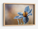 Tu beso de oro sobre mi quietud de seda azul - Mandy Disher | Cuadro decorativo de Canvas Lab