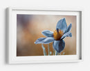 Tu beso de oro sobre mi quietud de seda azul - Mandy Disher | Cuadro decorativo de Canvas Lab