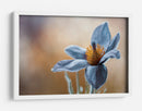 Tu beso de oro sobre mi quietud de seda azul - Mandy Disher | Cuadro decorativo de Canvas Lab