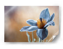 Tu beso de oro sobre mi quietud de seda azul - Mandy Disher | Cuadro decorativo de Canvas Lab