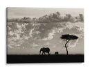 Safari de familia de elefantes - Mario Moreno | Cuadro decorativo de Canvas Lab