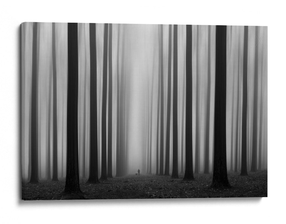 Sendero del bosque brumoso - Jochen Bongaerts | Cuadro decorativo de Canvas Lab
